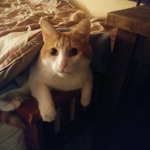 Meet your Posher, Anthony